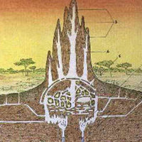 Sustainable Building in Zimbabwe Modeled After Termite Mounds