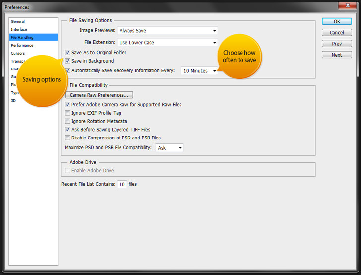 camera raw plugin for photoshop cs4 free download