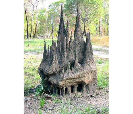 ant_architecture Antarchitecture And Antarchitecture