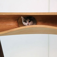 Cat Table for Architect Cat Lovers