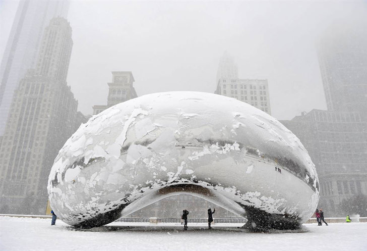 chicago bean